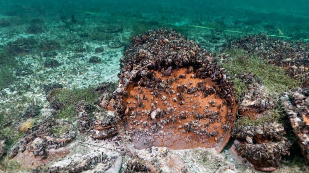 Arqueólogos seguiram uma mancha preta em um lago e descobriram mais de 1.000 artefatos romanos que foram recuperados