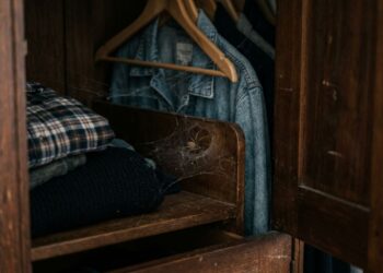 As 7 plantas mais eficazes para manter aranhas bem longe de casa