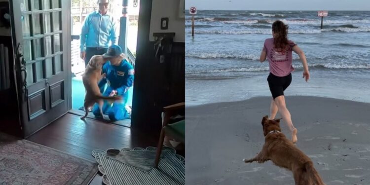 Após missão ao redor da Lua, astronauta volta para casa e emociona ao reencontrar sua cadela