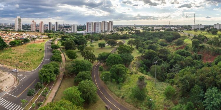 Ao lado de Paris e Toronto: as 3 cidades brasileiras com mais de 90% das ruas verdes que a ONU reconhece como referência mundial em arborização urbana