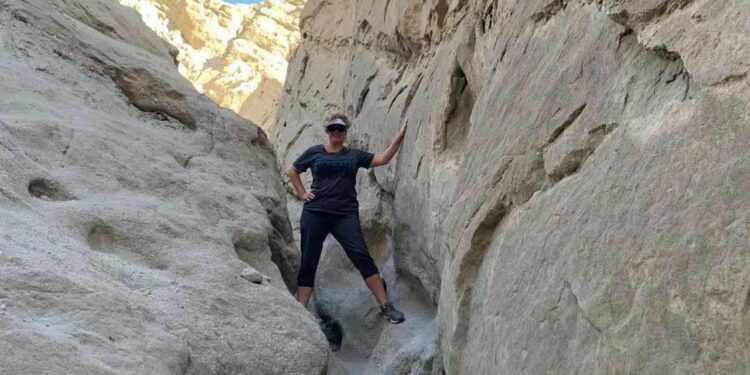 Trabalhei 8 anos e meio em uma empresa. Pedi demissão por mensagem de texto.