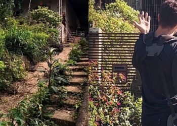 Jovem se oferece para transformar pátio esquecido e emociona moradora