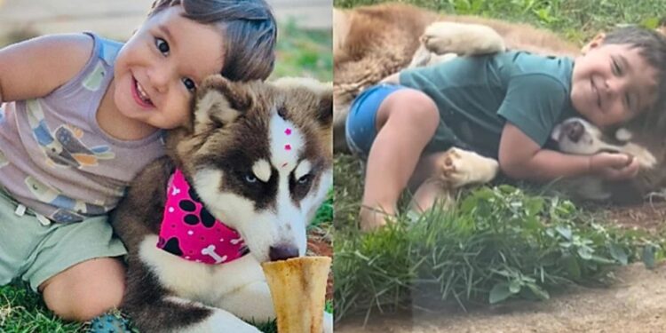 Menino fica famoso por abraçar todos os cães e história viraliza