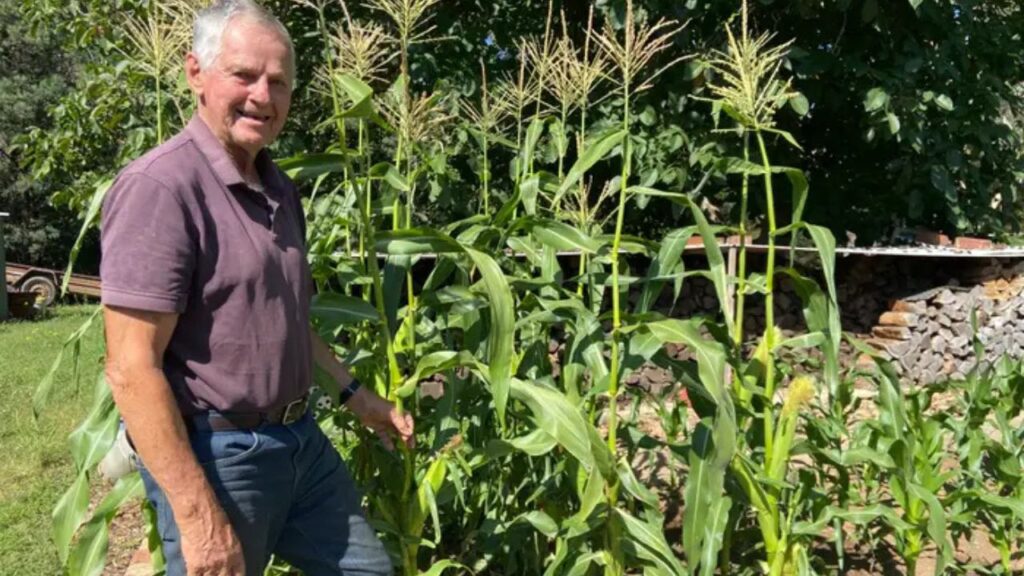 Meu sogro se aposentou aos 55 e agora tem 86. Sua aposentadoria bem-sucedida me ensinou 4 lições que pretendo seguir.