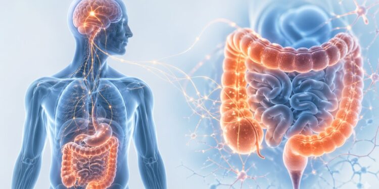 Síndrome do intestino irritável: 5 fatores que pioram os sintomas e muita gente ignora