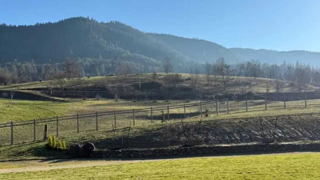 Família constrói casa que parece duas casas conectadas por um corredor: o motivo é genial