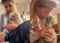 Cachorrinho emociona ao fazer nebulização tranquilamente ao lado da tutora