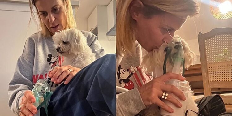 Cachorrinho emociona ao fazer nebulização tranquilamente ao lado da tutora