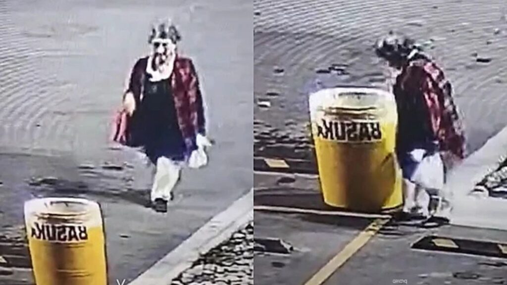 Ao passar por lixeira na rua, mulher escuta barulho estranho e encontra cachorrinho abandonado precisando de ajuda