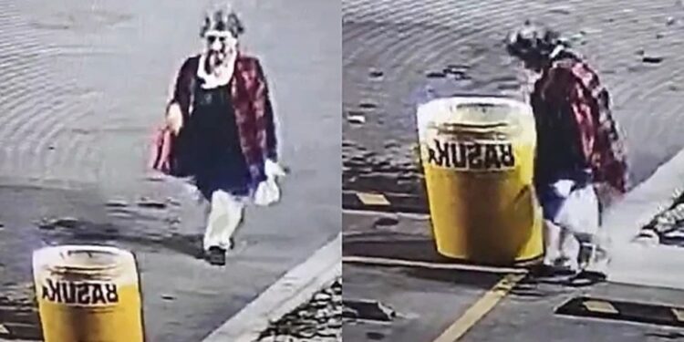 Ao passar por lixeira na rua, mulher escuta barulho estranho e encontra cachorrinho abandonado precisando de ajuda