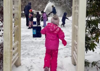 Dei um telefone fixo para meus filhos, todos com 7 anos ou menos. Eles convidaram amigos num dia de neve sem minha ajuda, e fiquei encantada.