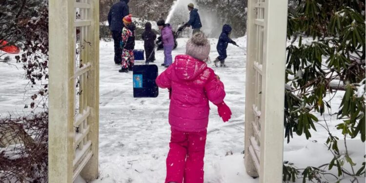 Dei um telefone fixo para meus filhos, todos com 7 anos ou menos. Eles convidaram amigos num dia de neve sem minha ajuda, e fiquei encantada.