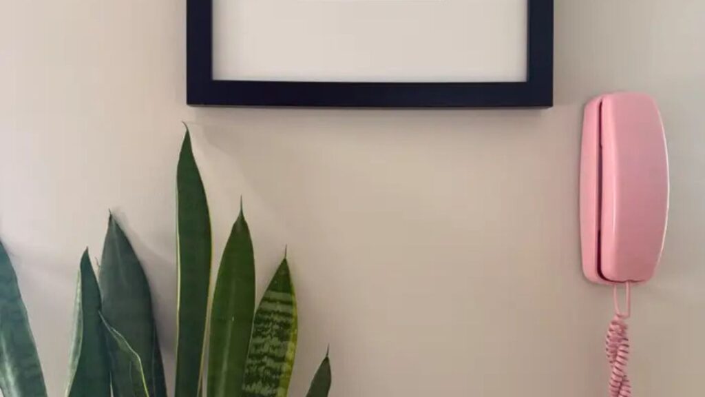 Dei um telefone fixo para meus filhos, todos com 7 anos ou menos. Eles convidaram amigos num dia de neve sem minha ajuda, e fiquei encantada.