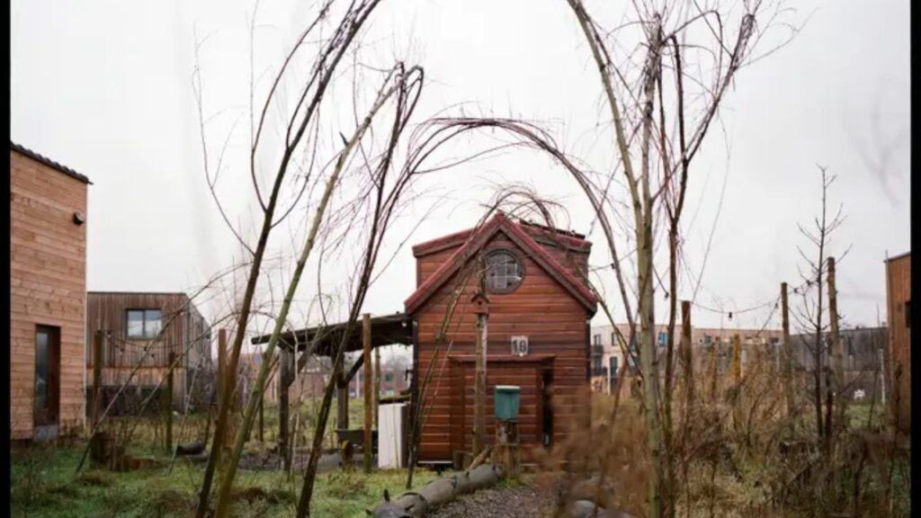 Me mudei para uma vila de mini casas aos 37 com meu filho. A infância dele é tão livre que ficamos por 7 anos.