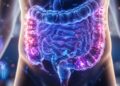 Intestino preso: 5 hábitos simples que ajudam a regular de forma natural e melhorar a digestão rapidamente