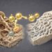 Cientistas revelam método para “acordar” células-tronco e fortalecer ossos naturalmente