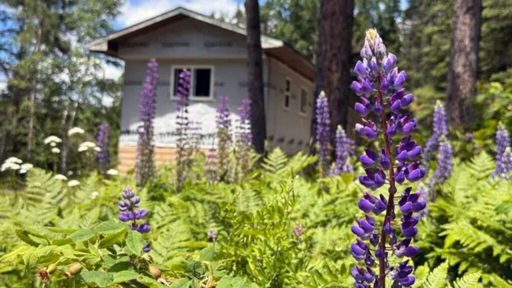 Estávamos cansados da vida agitada, então trocamos tudo para viver na região rural do norte de Minnesota. Nunca nos sentimos tão em casa.