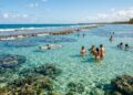 A vila alagoana com ruas de terra abriga piscinas naturais protegidas pela maior área marinha do Brasil e o único santuário de peixe-boi do país