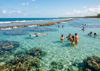 A vila alagoana com ruas de terra abriga piscinas naturais protegidas pela maior área marinha do Brasil e o único santuário de peixe-boi do país