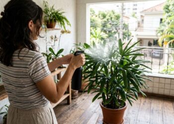 A palmeira que virou a favorita para varandas cobertas porque purifica o ar e sobrevive anos sem pegar luz solar direta