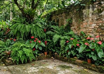 Plante uma vez e desfrute para sempre: as cinco plantas que crescem na sombra e transformam cantos esquecidos do jardim