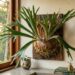 Para a planta escultural durar anos: o macete não é plantar na terra, mas fixá-la na parede imitando o tronco úmido das florestas