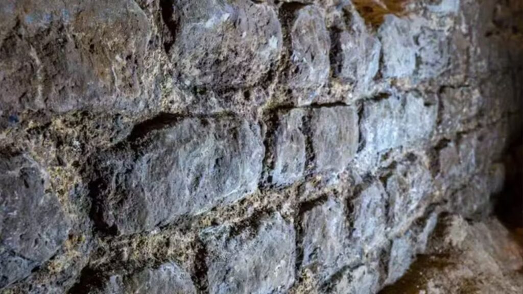 Um tesouro de 2 mil anos foi descoberto enterrado em um porão de escritório