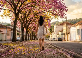 Essa cidade do interior de Minas tem a 5ª melhor qualidade de vida e se tornou referência em educação com quase 100% das crianças na escola