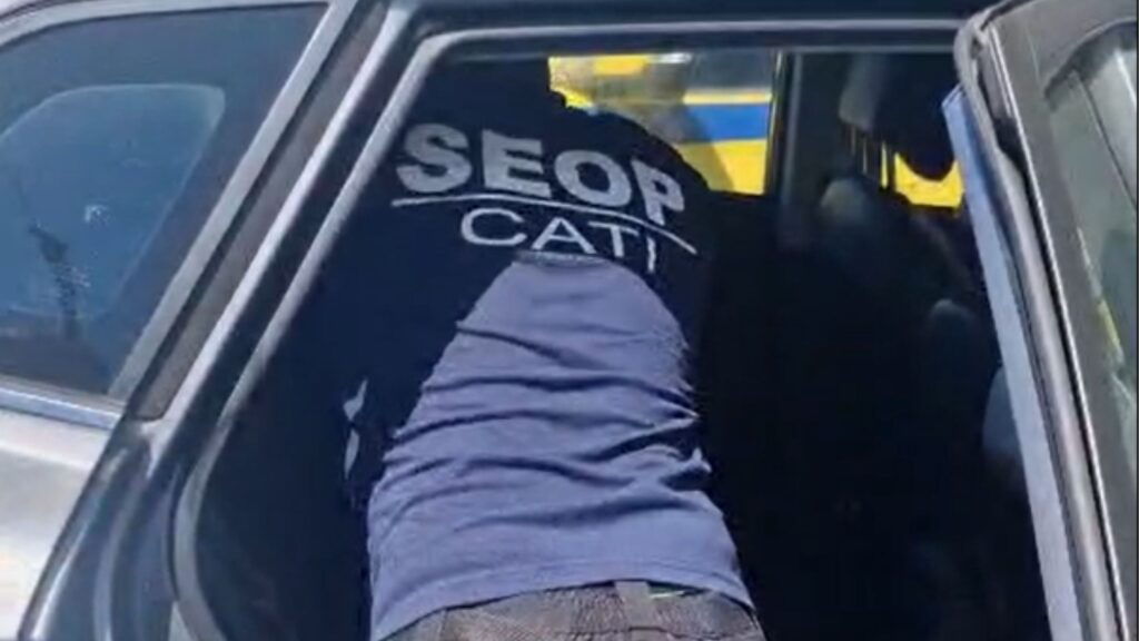 Cachorro abandonado dentro de carro no Rio de Janeiro é resgatado pela SEOP