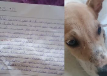 Cachorro é resgatado e junto dele tem uma carta surpreendente: "Peço, de todo o meu coração, que cuide dele"