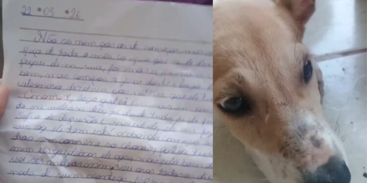 Cachorro é resgatado e junto dele tem uma carta surpreendente: "Peço, de todo o meu coração, que cuide dele"