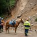 Cavalo encontrado após deslizamento de terra