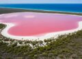 Com águas cristalinas e coloração intensa, cientistas explicam por que o lago tem um tom rosa que impressiona o mundo