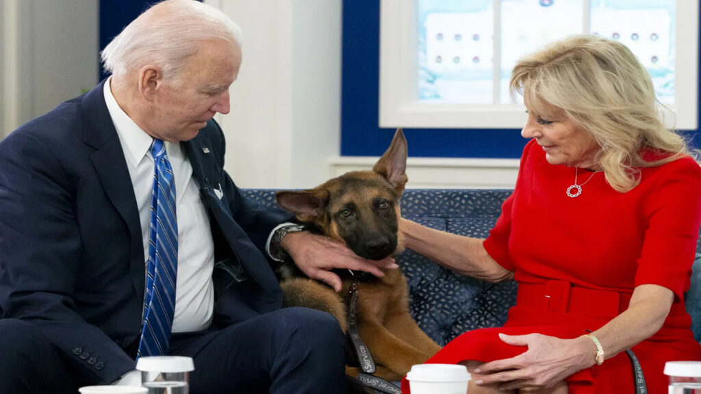 Biden adota dois labradores após problemas com cães na Casa Branca
