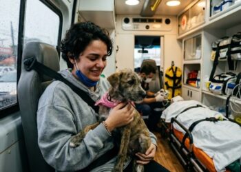 Cachorrinha invade ambulância e se recusa a deixar tutora em momento de desespero que emociona socorristas