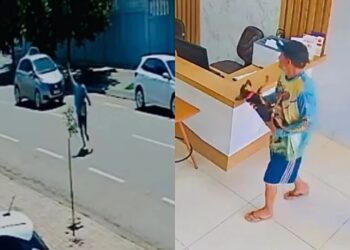 Morador de rua corre com cachorrinha nos braços em busca de ajuda após vê-la ferida na rua