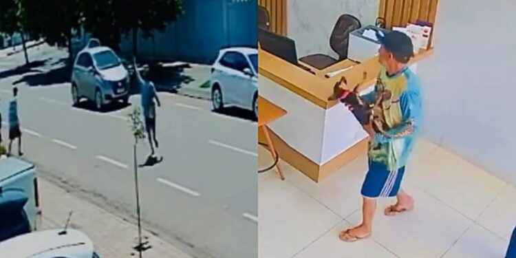 Morador de rua corre com cachorrinha nos braços em busca de ajuda após vê-la ferida na rua