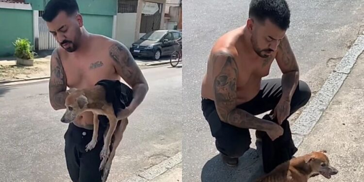 Ele não enxergava mais e foi deixado na rua até que um gesto humano salvou sua vida