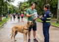 Homem é surpreendido com multa ao passear com cachorro e justificativa gera debate