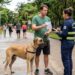 Homem é surpreendido com multa ao passear com cachorro e justificativa gera debate