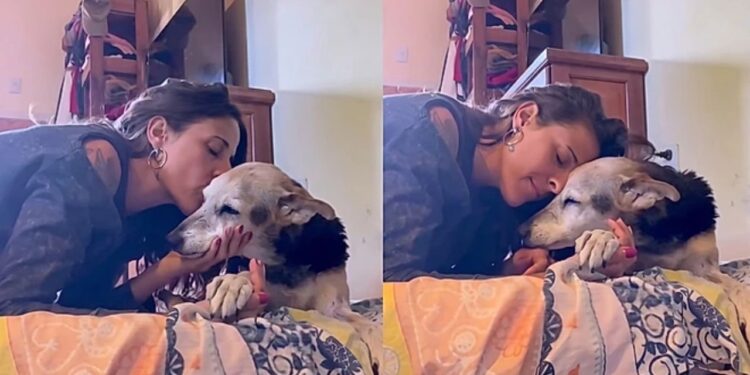 A lição mais bonita que uma tutora recebeu de sua cachorrinha idosa