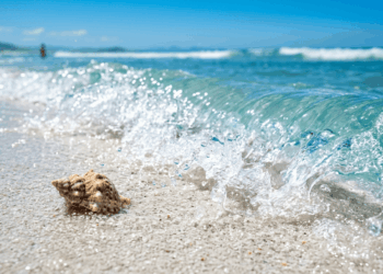 Qualidade de vida altíssima e praias paradisíacas cercadas por tecnologia: a ilha no sul do país que virou o "Vale do Silício brasileiro" e é o novo refúgio dos nômades digitais