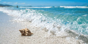 Qualidade de vida altíssima e praias paradisíacas cercadas por tecnologia: a ilha no sul do país que virou o "Vale do Silício brasileiro" e é o novo refúgio dos nômades digitais