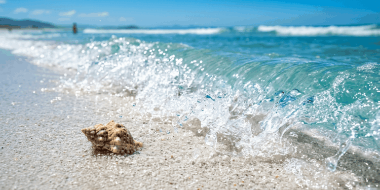 Qualidade de vida altíssima e praias paradisíacas cercadas por tecnologia: a ilha no sul do país que virou o "Vale do Silício brasileiro" e é o novo refúgio dos nômades digitais