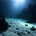 Cientistas descobrem vida inédita no fundo oceano e o alerta preocupa especialistas do mundo todo