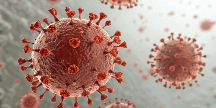 Cientistas descobrem anticorpo contra HIV que bloqueia o vírus e abre caminho para novos tratamentos