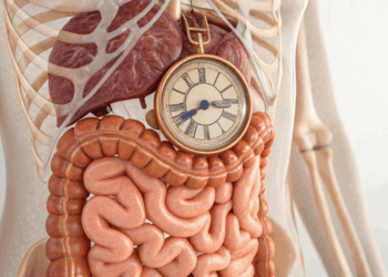 Sua irritação e cansaço no dia a dia podem estar ligados ao ritmo do seu intestino