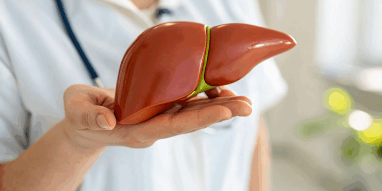 Como limpar o fígado com remédios caseiros e evitar sobrecarga silenciosa da sua saúde