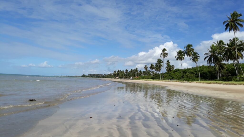 A praia onde nasceu o maior projeto de peixe-boi marinho do país e o mar recua revelando bancos de areia