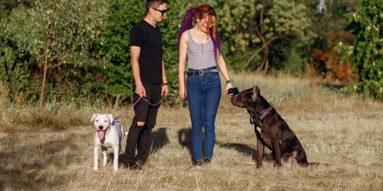 Casal ignora críticas e mantém pitbull após gravidez e um ano depois algo surpreende